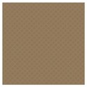 PP8