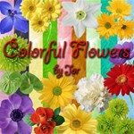 Colorful Flowers