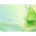 green_leaves_vector_wallpapers-t2