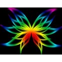 rainbow_butterfly_wallpaper_4-t2