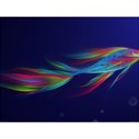 rainbow_fish_wallpaper_3-t2