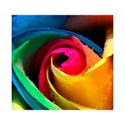 rainbow_flower_wallpaper_for_mobile-t2