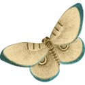 lisaminor_repose_butterfly_a