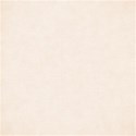 lisaminor_repose_paper_l