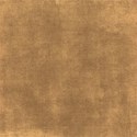lisaminor_today_paper_z1