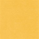 lisaminor_tpiyn_teacher_paper_c