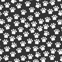 lisaminor_tpiyn_vet_paper_g