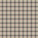 lisaminor_tpiyn_vet_paper_k