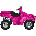 lisaminor_letsride_atv_b