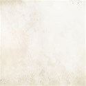 bg (15)