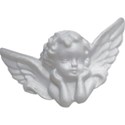 Winged Cherub