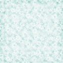 bg6