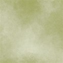 bg3