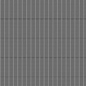 bg1
