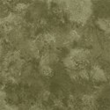 bg7