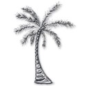 palm