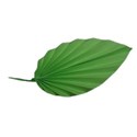 leaf 2