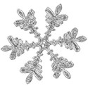 snowflake 1