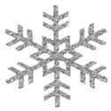snowflake 3
