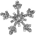 snowflake 6