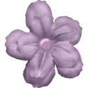 Flower5