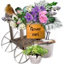 flower cart