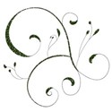 element (5)