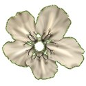 element (20)