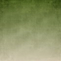 bg (1)