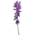 flower purple