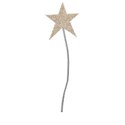 star branch