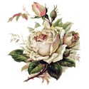 fgr