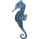 UnderSea_Seahorse