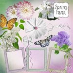 Spring Fever Spring Fever