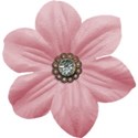 flower 3