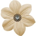 flower 4