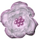 flower 6