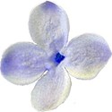 chey0kota_MC Lilac_Element (4)