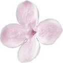 chey0kota_MC Lilac_Element (10)