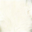 white bear fur2