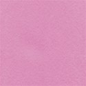 chey0kota_CountryWed_Paper Plain (4)
