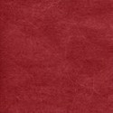 bg (7)