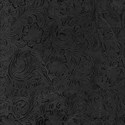bg (15)