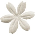 element (1)