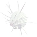 element (4)