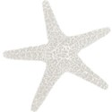 element (5)