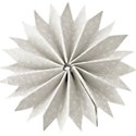element (45)