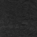 bg (13)