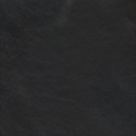 bg (16)