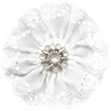 chey0kota_CC_Rose ele (14)